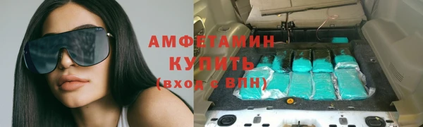 стафф Аркадак