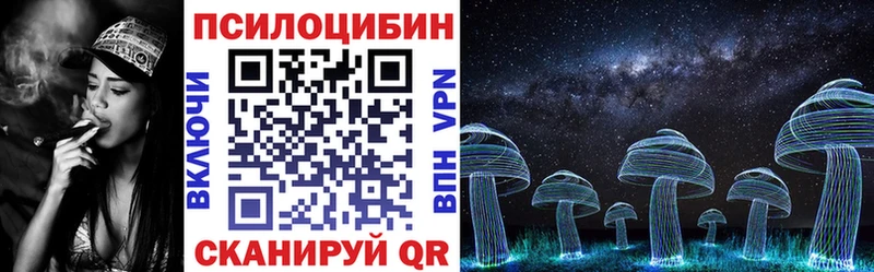 Псилоцибиновые грибы Psilocybe  Цивильск 